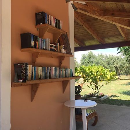 Dimaras Apartments Vasilikos  Bagian luar foto
