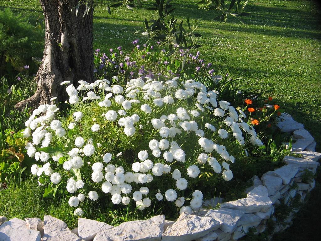 Dimaras Apartments Vasilikos  Bagian luar foto