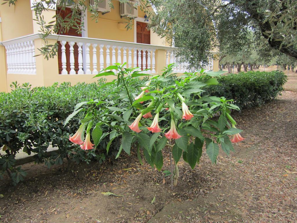 Dimaras Apartments Vasilikos  Ruang foto