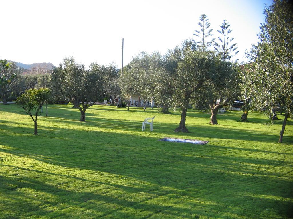 Dimaras Apartments Vasilikos  Bagian luar foto