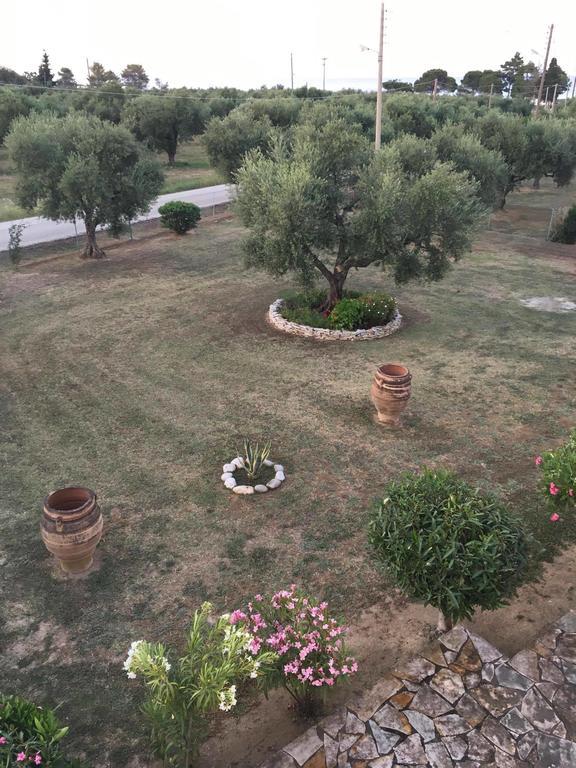 Dimaras Apartments Vasilikos  Bagian luar foto