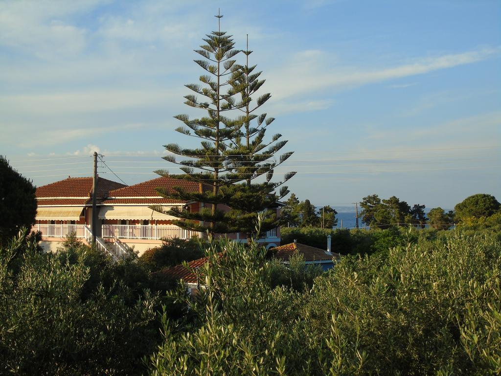Dimaras Apartments Vasilikos  Bagian luar foto