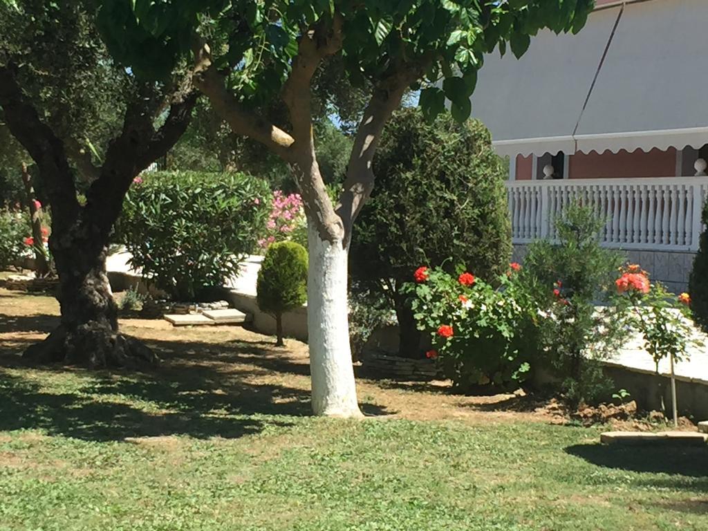 Dimaras Apartments Vasilikos  Bagian luar foto