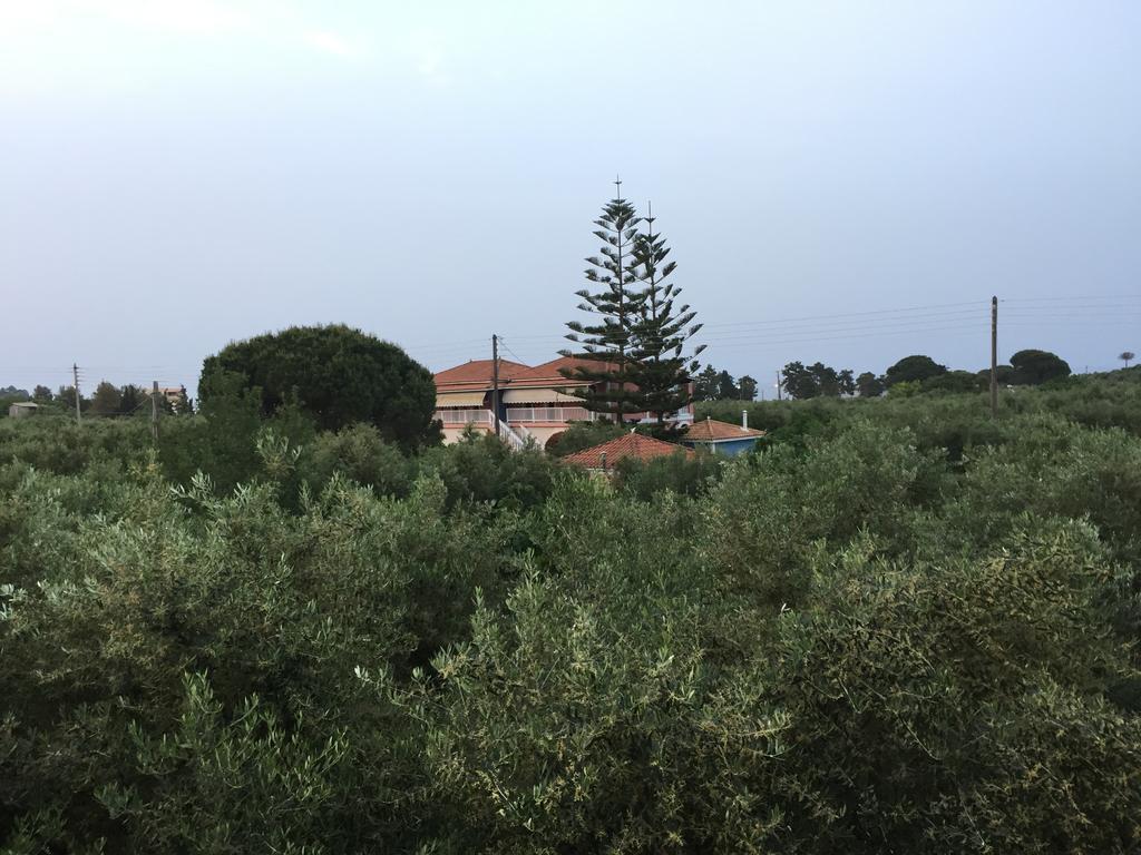 Dimaras Apartments Vasilikos  Bagian luar foto