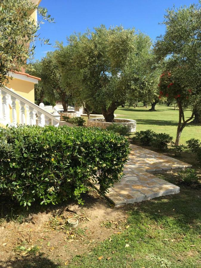 Dimaras Apartments Vasilikos  Bagian luar foto