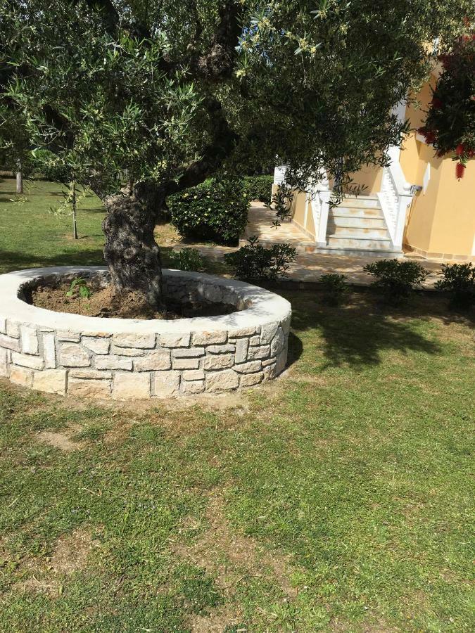 Dimaras Apartments Vasilikos  Bagian luar foto